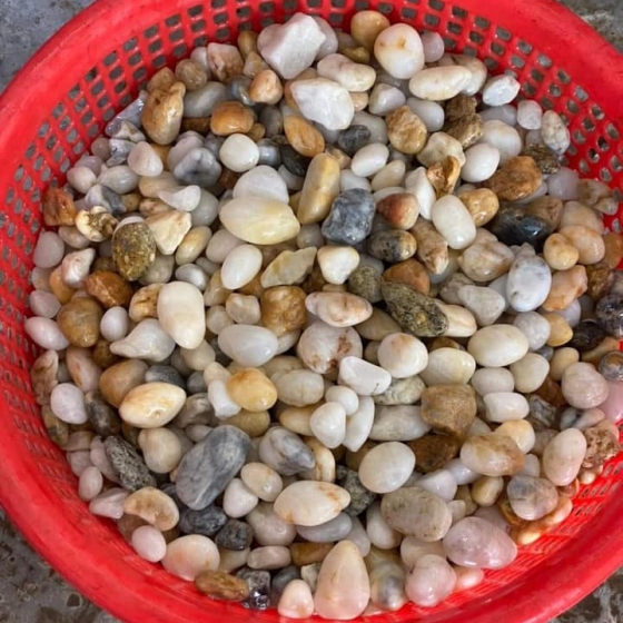 Sỏi biển