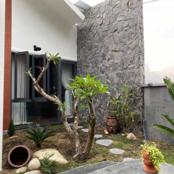 Đá chẻ đen rối