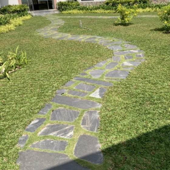 Đá chẻ đen rối