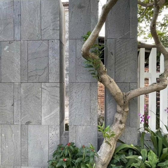 Đá ong ốp tường 2D