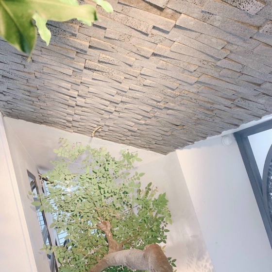 Đá ong ốp tường 3D quy cách 5x30