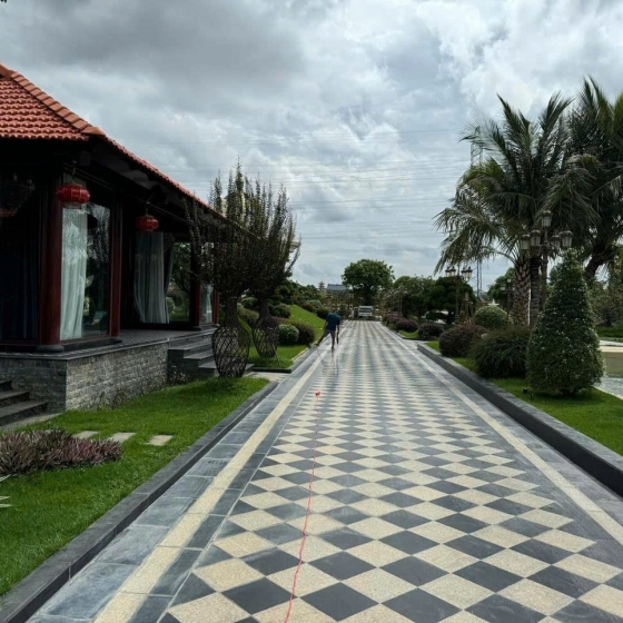 Đá  Vàng Bình Định