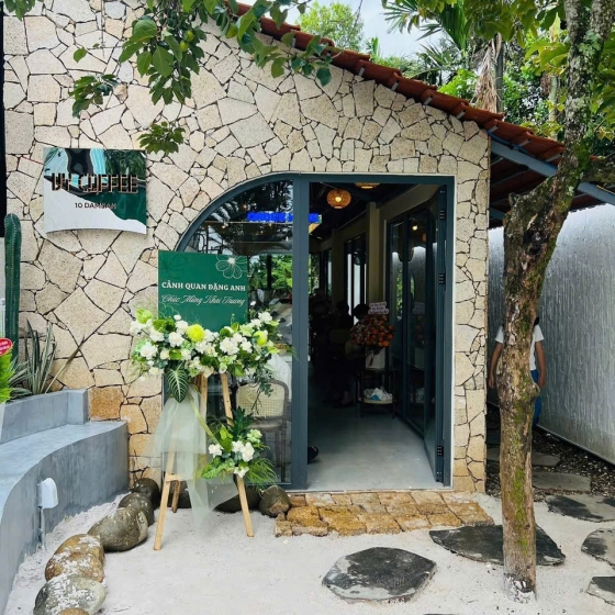 Vàng băm rối 