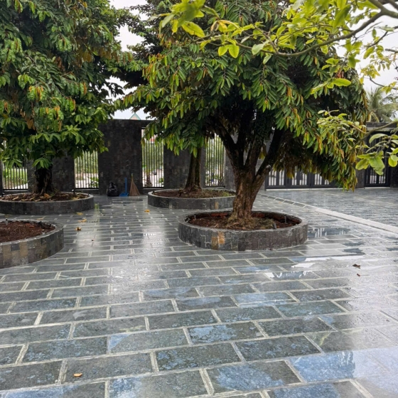 Đá xanh Thanh Hóa mài 